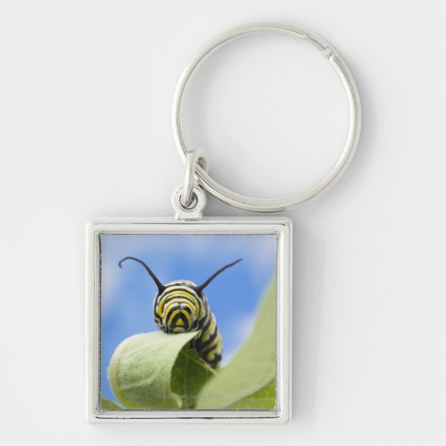 Black and yellow caterpillar key ring (Front)