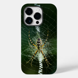 Black and Yellow Garden Spider  Case-Mate iPhone 14 Pro Case