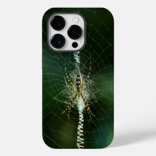 Black and Yellow Garden Spider iPhone 14 Pro Case
