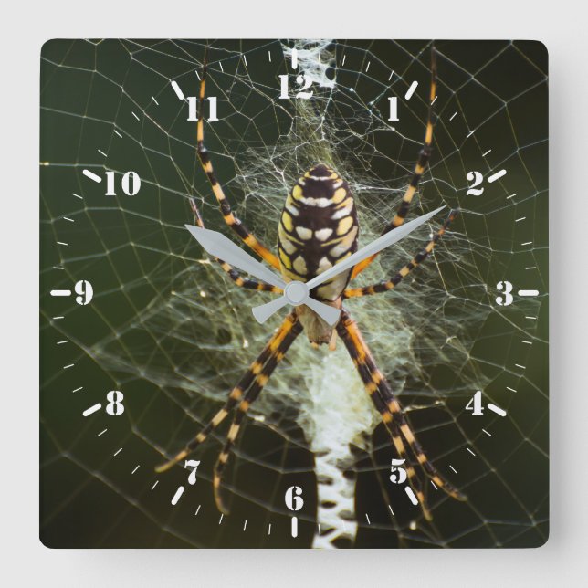 Black and yellow garden spider square wall clock (Front)