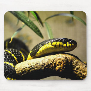Black and yellow snake mouse pad