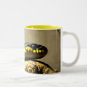 Black and yellow snake Two-Tone coffee mug