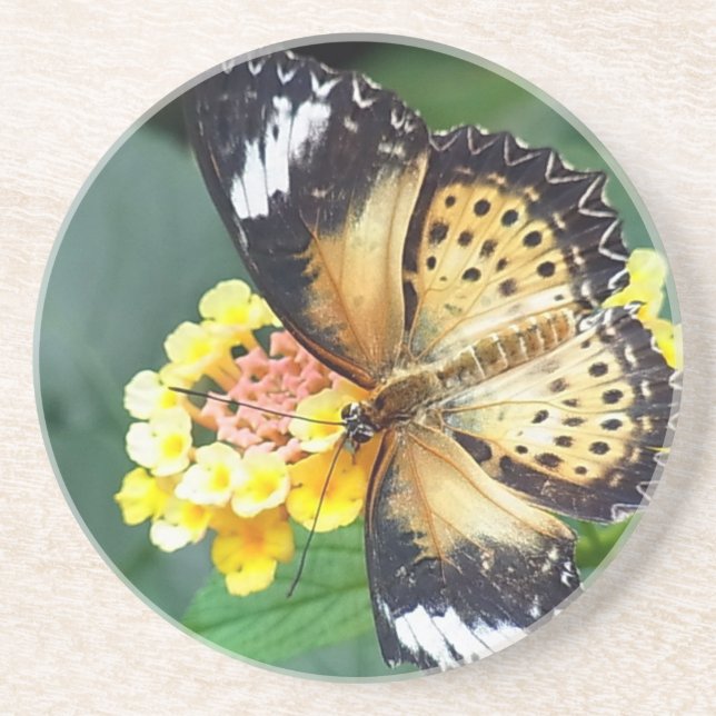 Black and Yellow Spotted Butterfly Coaster (Front)