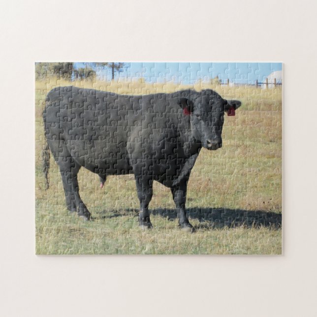Black Angus at Pasture Jigsaw Puzzle (Horizontal)