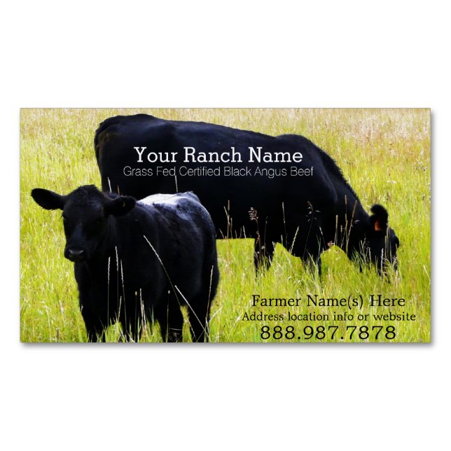 Black Angus Beef Cattle Ranch Farm Magnetic Business Card (Front)