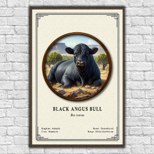 Black Angus Bull Zoology Series Poster