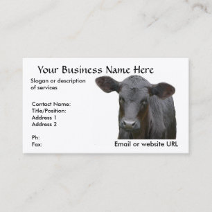 Black Angus Calf Business Card