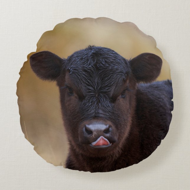 Black Angus Calf Round Cushion (Front)