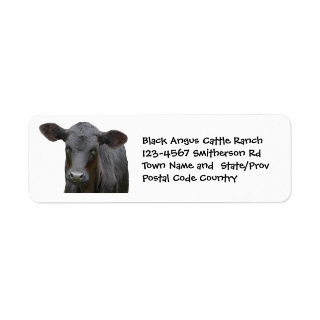 Black Angus Cattle Farm or Ranch Sticker (Front)
