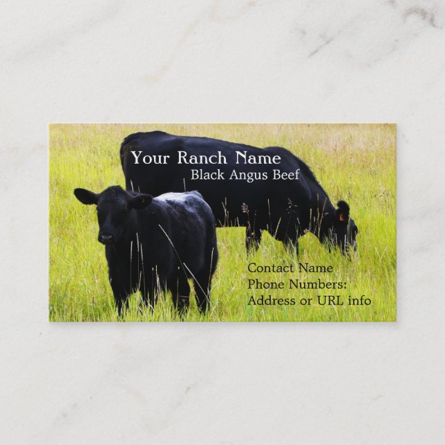 Black Angus Cattle Grazing in Field Business Card (Front)
