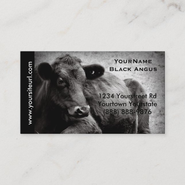 Black Angus Cattle Photo for  Beef Ranch or Farm Business Card (Front)