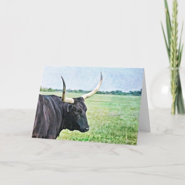 Black Angus Cow Art Note Card (Front)