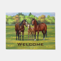 Black Angus Cow & Cute Calf in Summer Pasture