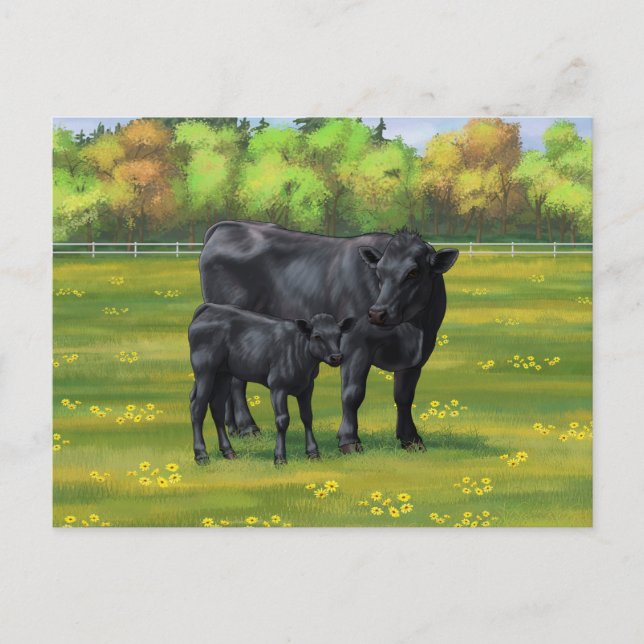 Black Angus Cow & Cute Calf in Summer Pasture Postcard (Front)