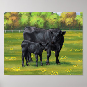 Black Angus Cow & Cute Calf in Summer Pasture Poster