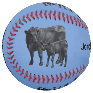 Black Angus Cow & Cute Calf in Summer Pasture Softball