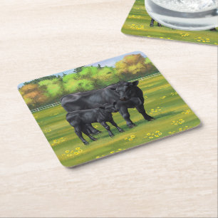 Black Angus Cow & Cute Calf in Summer Pasture Square Paper Coaster