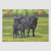 Black Angus Cow & Cute Calf in Summer Pasture