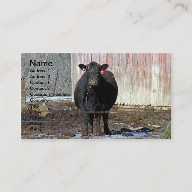 Black Angus Cow in Winter Business Card (Front)