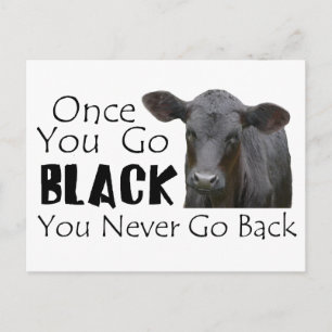 Black Angus Funny Cow Photo Postcard
