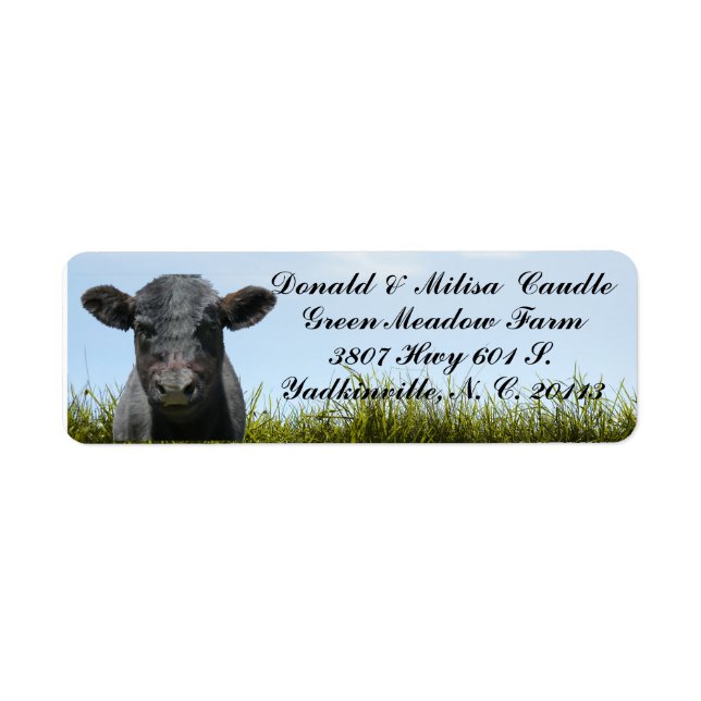 BLACK ANGUS LABEL RETURN ADDRESS LABEL (Front)