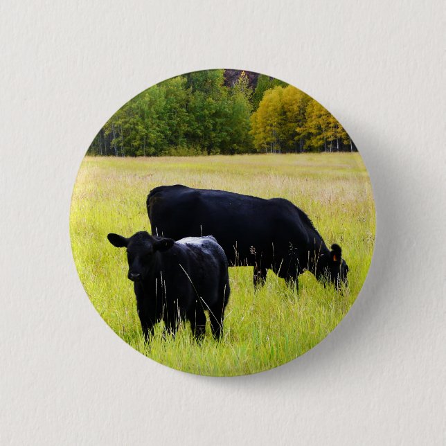 Black Angus Pair in Field 6 Cm Round Badge (Front)