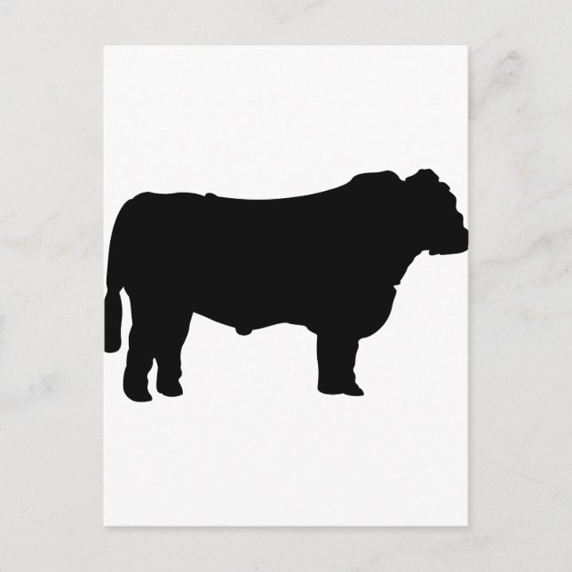 Black Angus Silhouette Postcard (Front)
