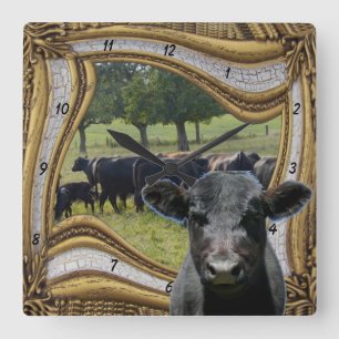 Black Angus Square Wall Clock