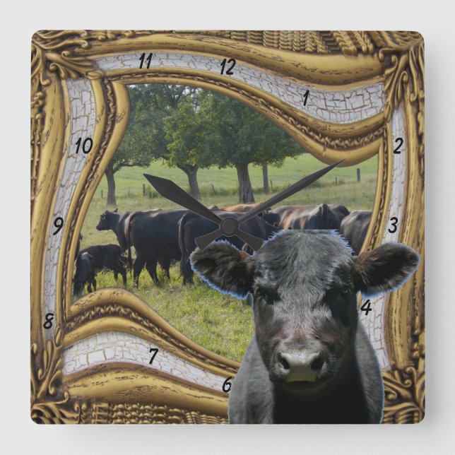 Black Angus Square Wall Clock (Front)