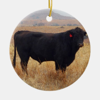 Black Angus Steer Grazing with its Herd Ceramic Ornament