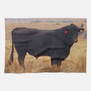 Black Angus Steer Grazing with its Herd Tea Towel
