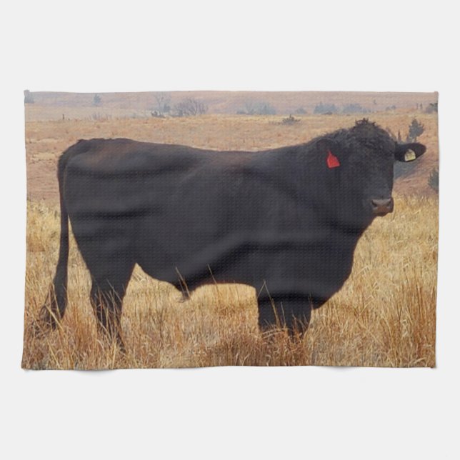 Black Angus Steer Grazing with its Herd Tea Towel (Horizontal)