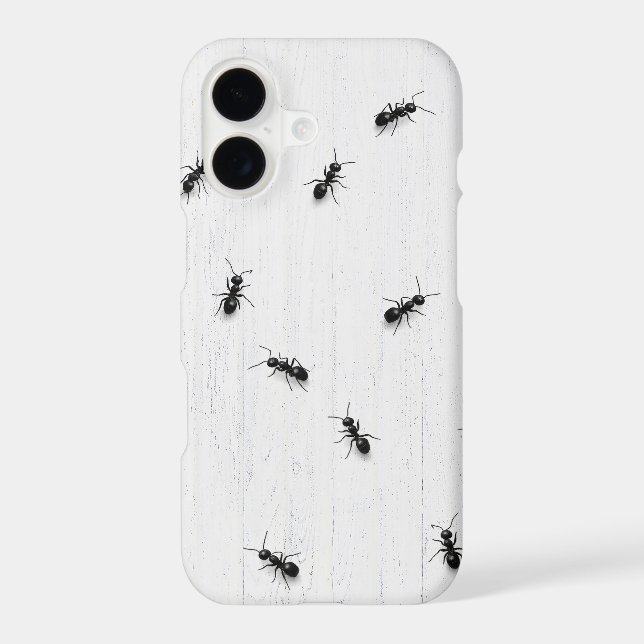 Black Ants on Whitewashed Wood (Back)