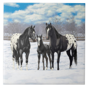 Black Appaloosa Horses In Snow Tile
