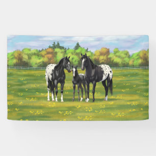 Black Appaloosa Horses In Summer Pasture Banner