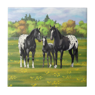 Black Appaloosa Horses In Summer Pasture Ceramic Tile