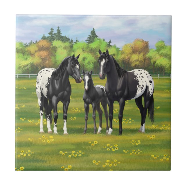 Black Appaloosa Horses In Summer Pasture Ceramic Tile (Front)