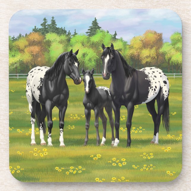 Black Appaloosa Horses In Summer Pasture Coaster (Front)