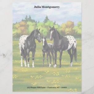 Black Appaloosa Horses In Summer Pasture Custom Letterhead