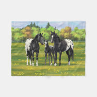 Black Appaloosa Horses In Summer Pasture
