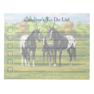 Black Appaloosa Horses In Summer Pasture Notepad
