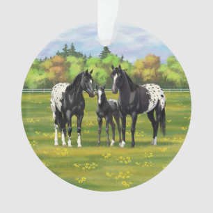 Black Appaloosa Horses In Summer Pasture Ornament