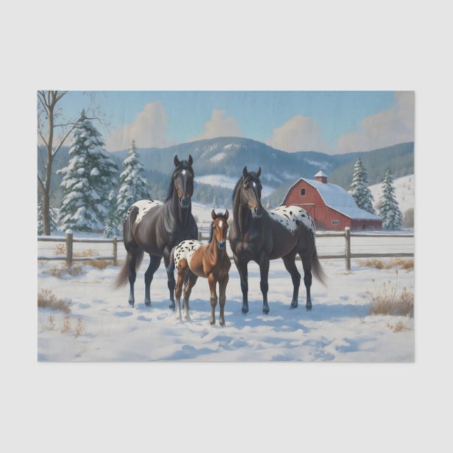 Black Appaloosa Horses on a Farm in Winter Tissue Paper (Front)