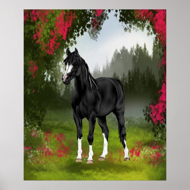 Black Arabian Horse in Spring Meadow Poster (Front)