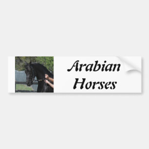 Black Arabian Sport Horse in Hand Bumper Sticker