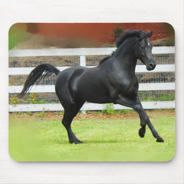 Black Arabian Stallion Mouse Pad (Front)
