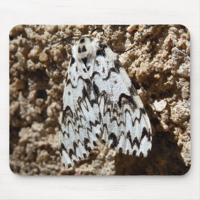Black Arches Moth Mouse Mat (Front)