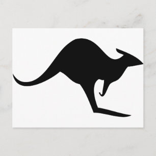 black australian kangaroo - australia postcard