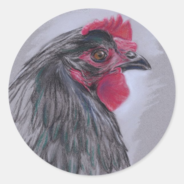 Black Australorp Hen Classic Round Sticker (Front)