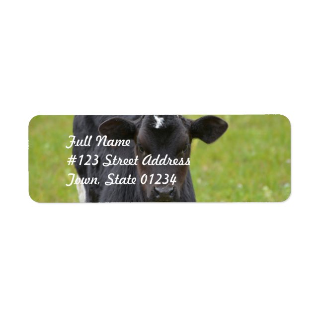 Black Baby Calf Return Address Label (Front)